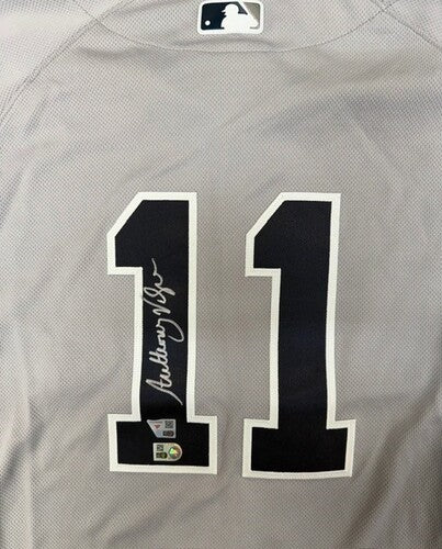 Anthony Volpe Autographed Yankees Gray Authentic Jersey