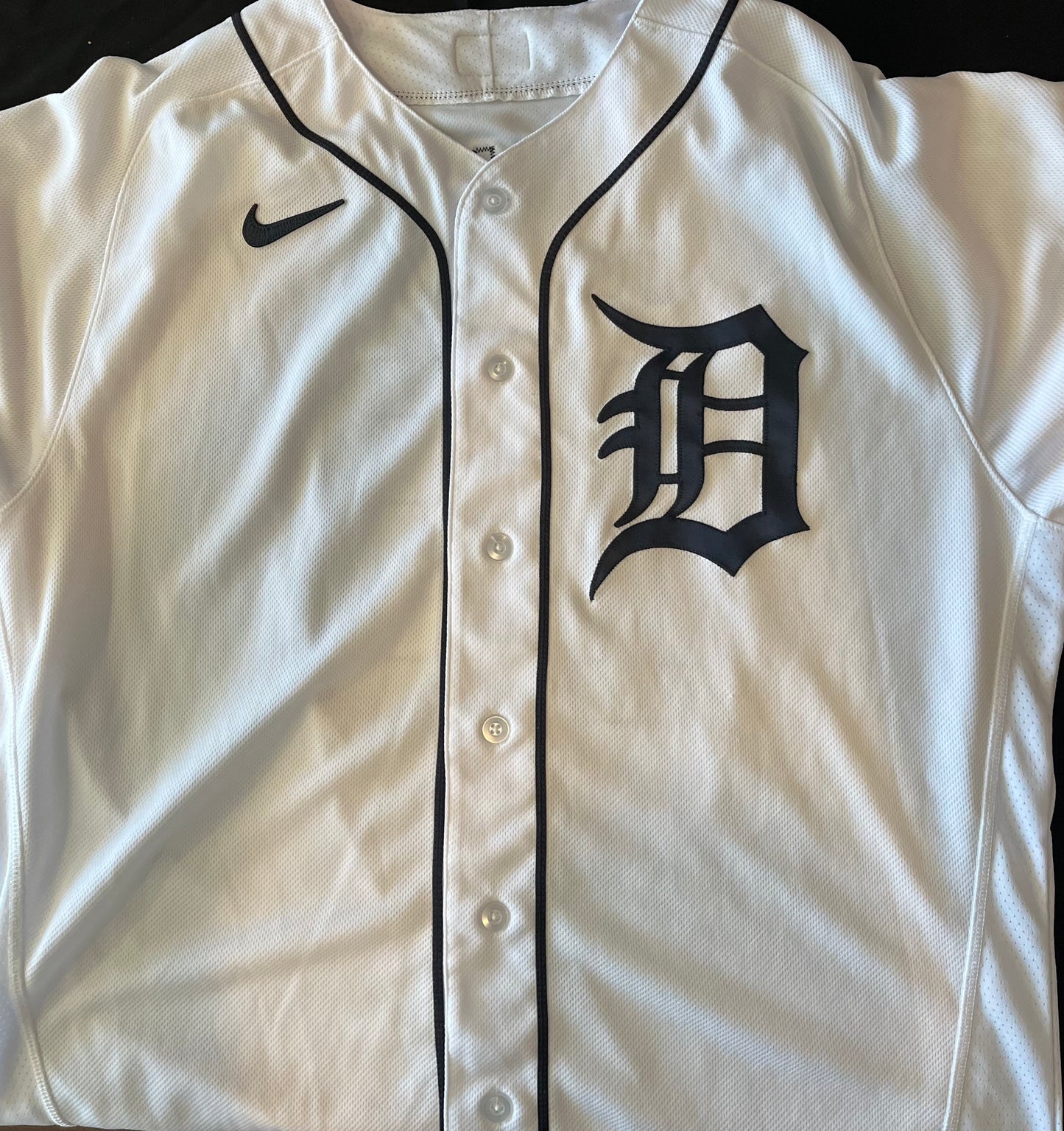 Alex Avila Autographed Authentic Tigers Jersey - Player's Closet Project