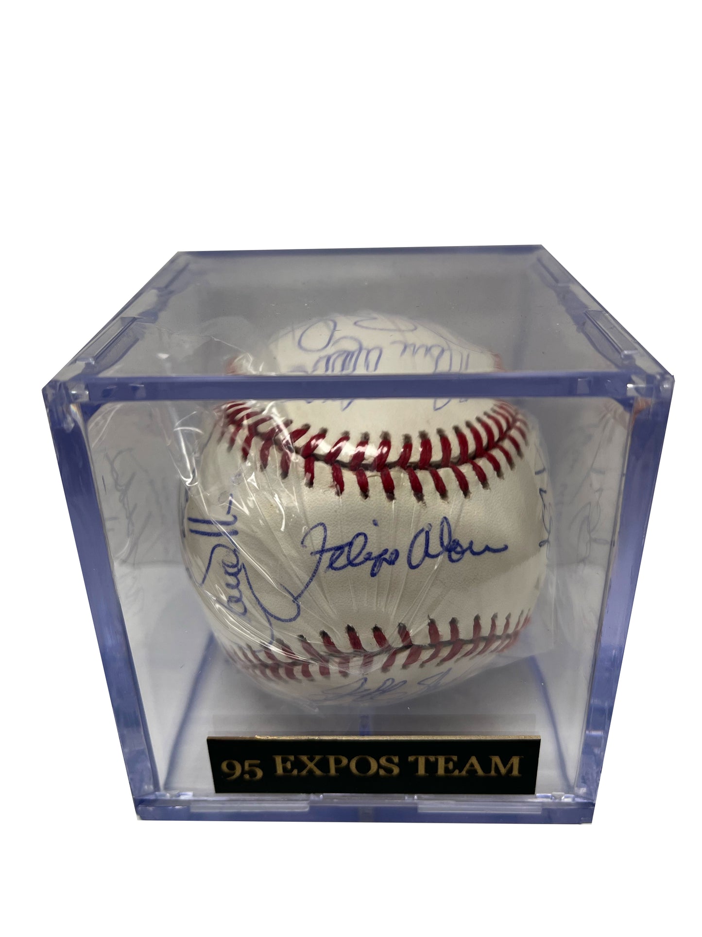 1995 Montreal Expos Team Signed Baseball - Player's Closet Project
