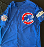 Alex Avila Autographed Authentic Chicago Cubs 2017 Postseason Jersey - Player's Closet Project