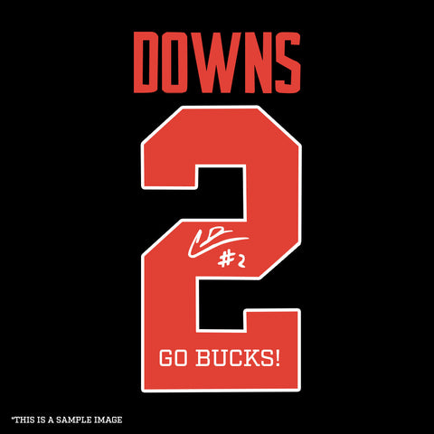 Caleb Downs Autographed "GO BUCKS" Black Ohio State Custom Jersey - (PRESALE)