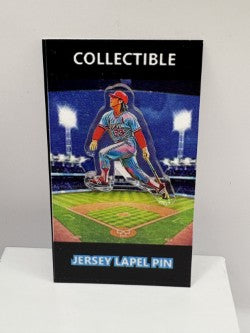 Ted Simmons Artwork Action Lapel Pin
