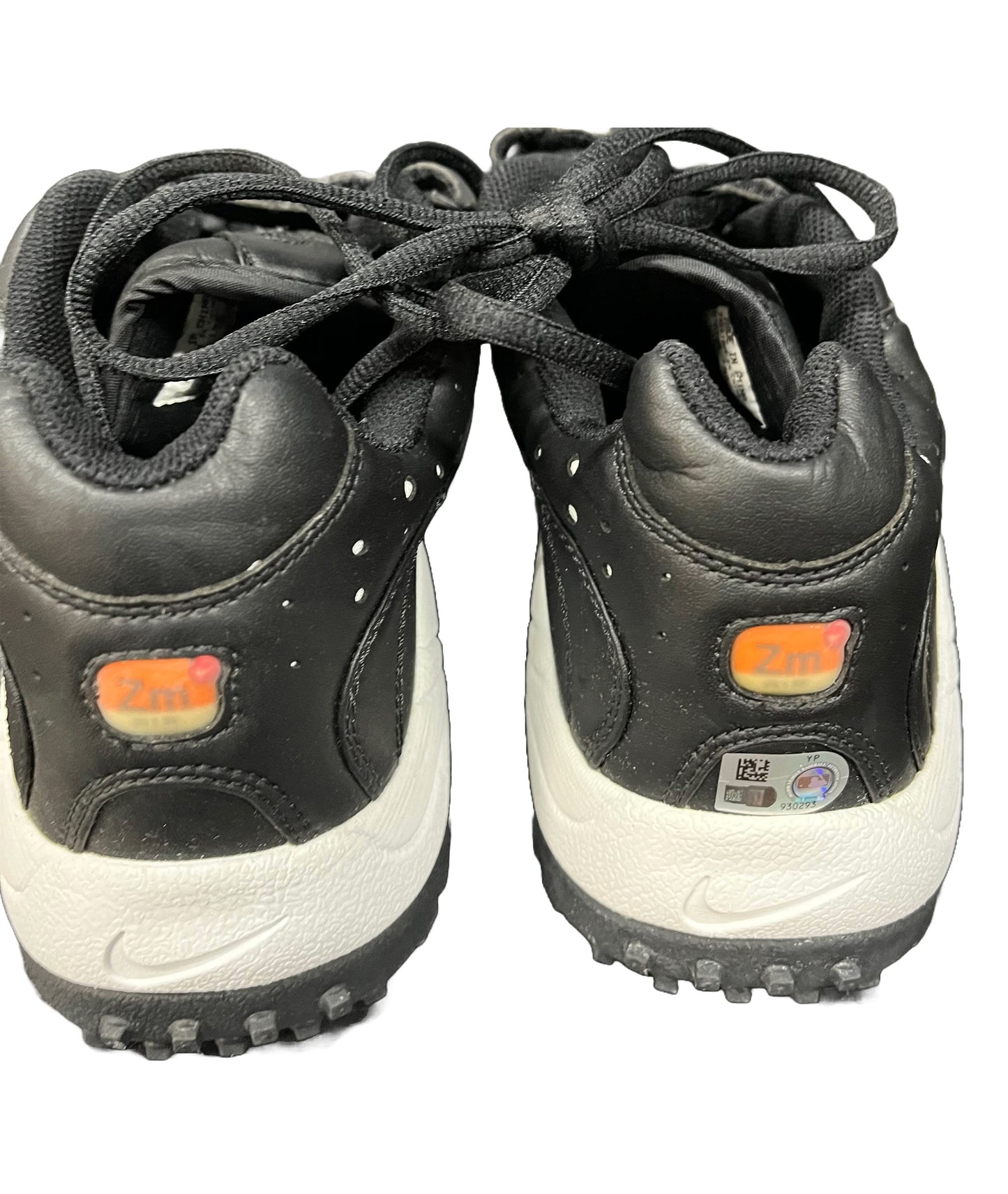 Luis Gonzalez Autographed Arizona Diamondbacks Cleats - Player's Closet Project