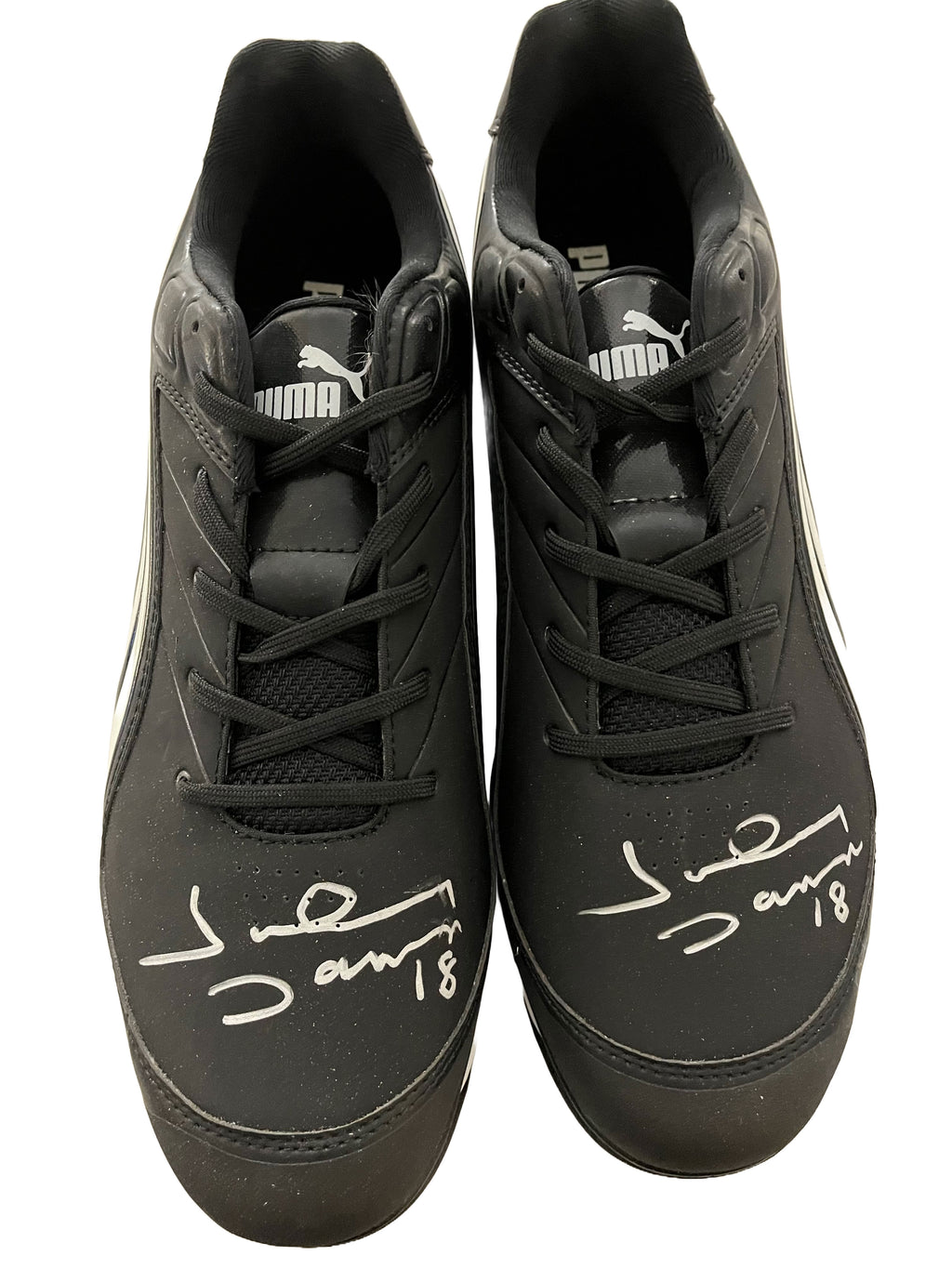 Authentic Autographed Memorabilia 