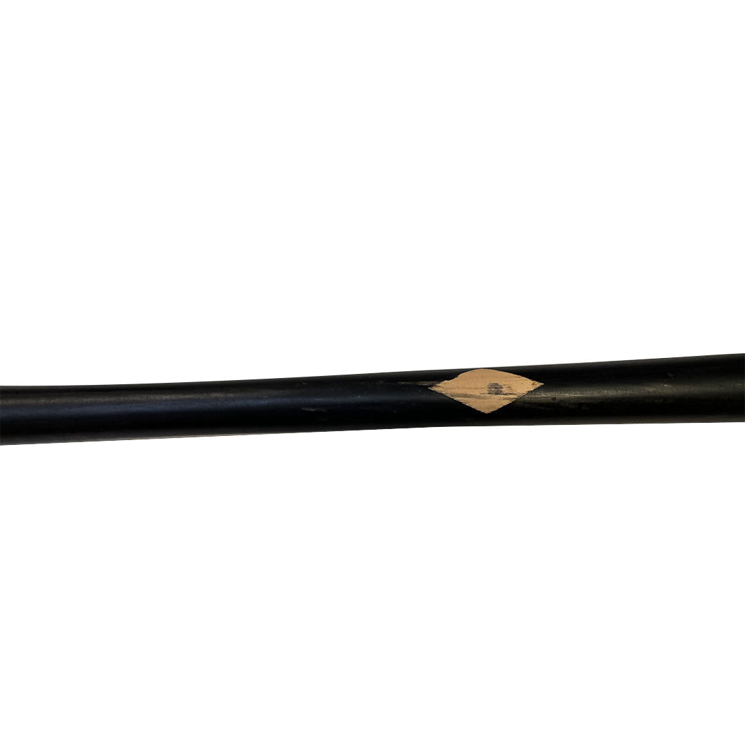 Carlos Pena Autographed Game Used Old Hickory Bat - Player's Closet Project