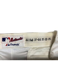 Toby Hall Autographed Games Used Tampa Bay Rays Pants - Player's Closet Project