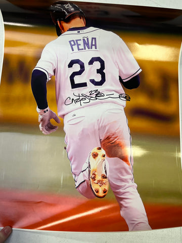 Carlos Pena Autographed Poster - Player's Closet Project