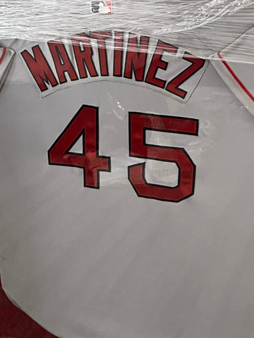 Pedro Martinez Framed Autographed Jersey - Player's Closet Project