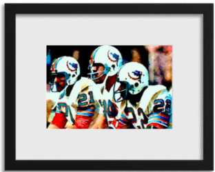 Miami Dolphins 1972 Undefeated 12x18 Framed Lithograph - 1 of 50